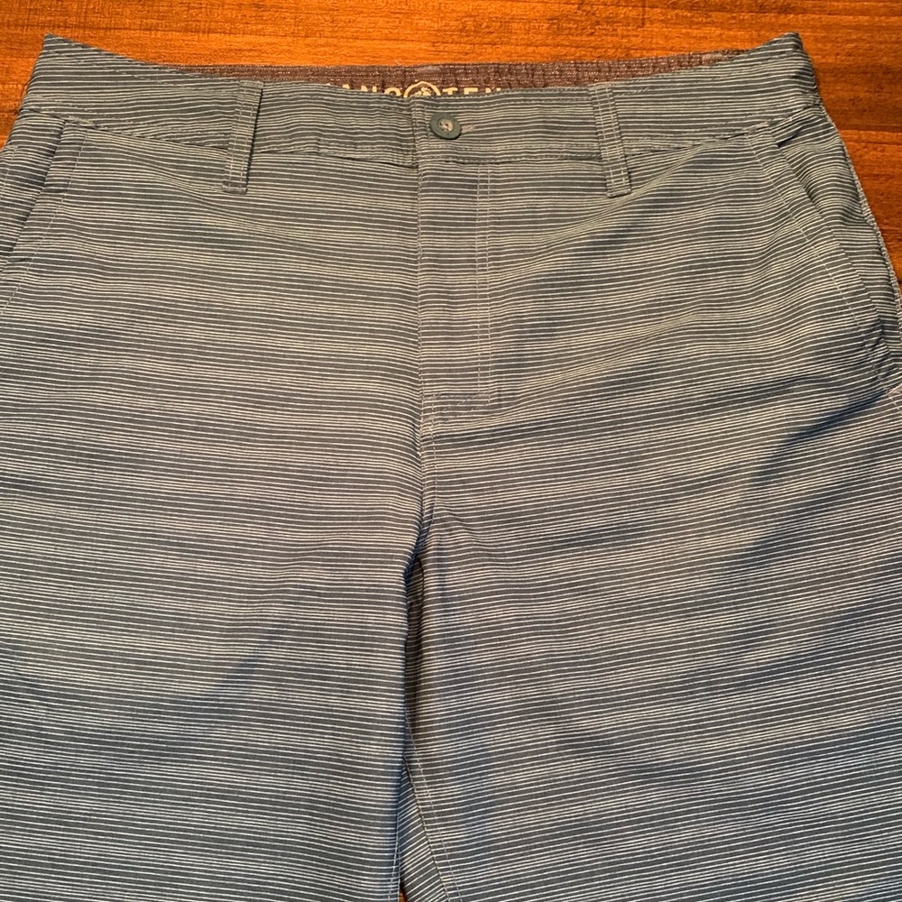 Mens hang ten shorts SZ 34